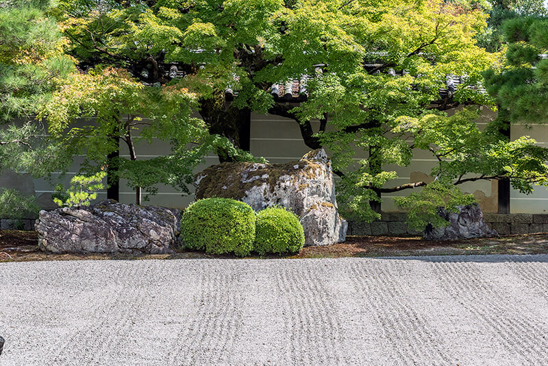5本の筋塀