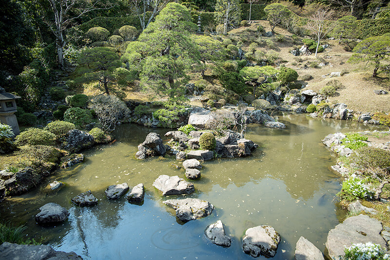 能仁寺庭園を眺める