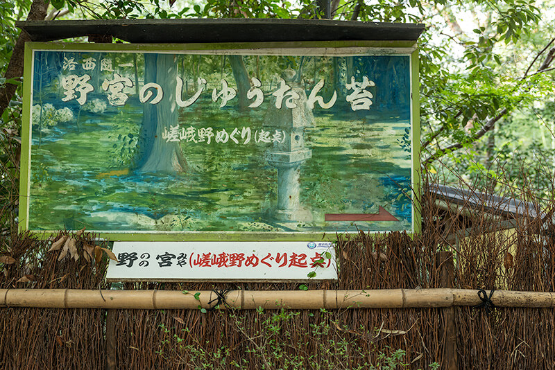 野宮のじゅうたん苔