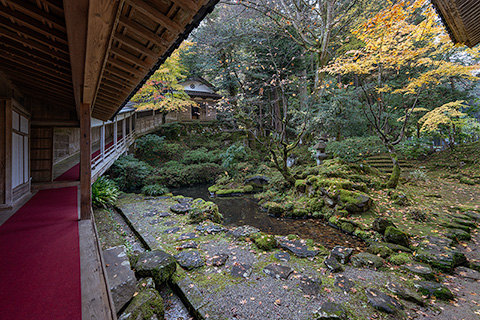 来迎寺庭園