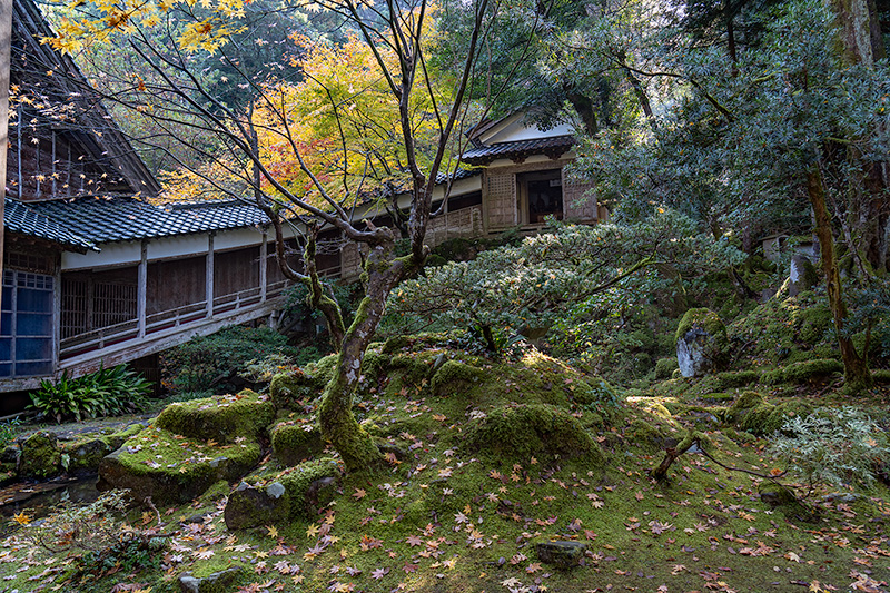 集団石組で構成された築山