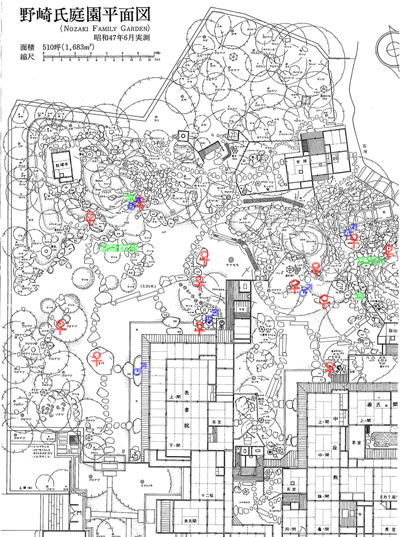 旧野﨑家庭園　平面図