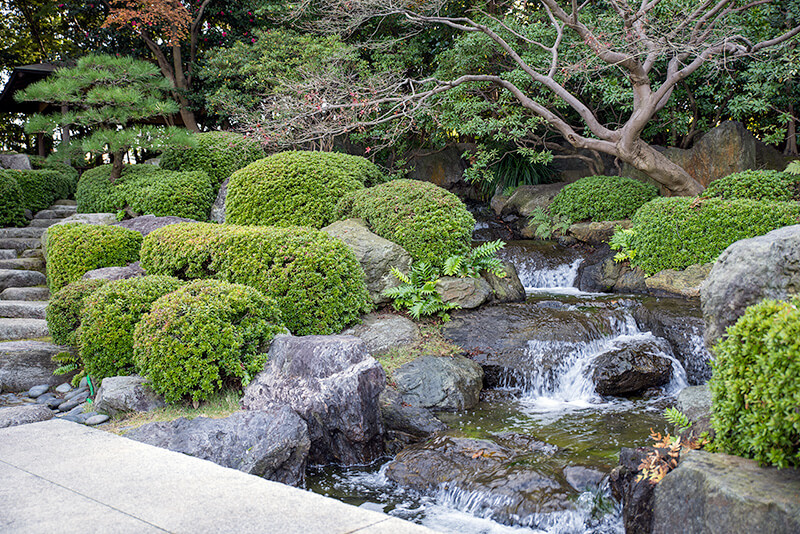 渓流の滝