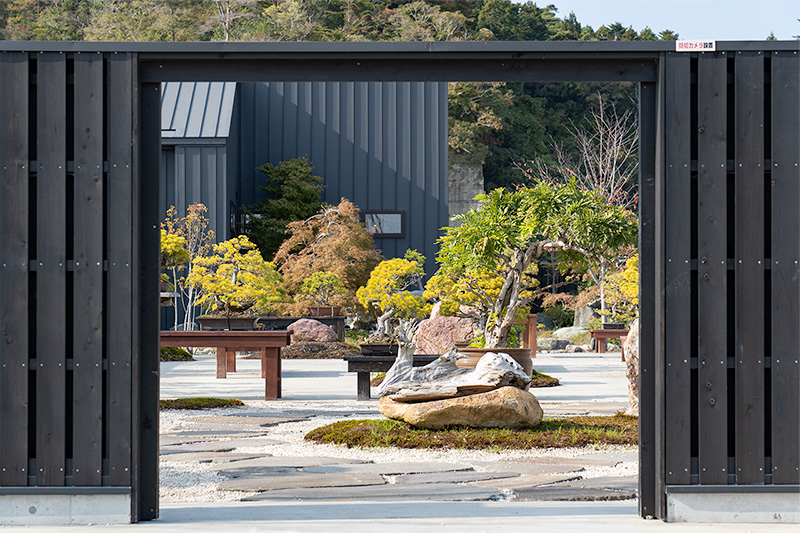 盆栽庭園