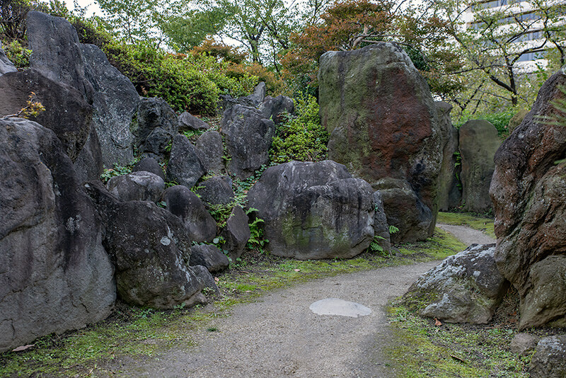 滝石組の苑路から撮影