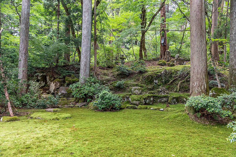 福井の苔寺
