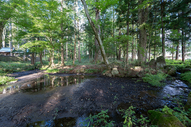 上段の池泉