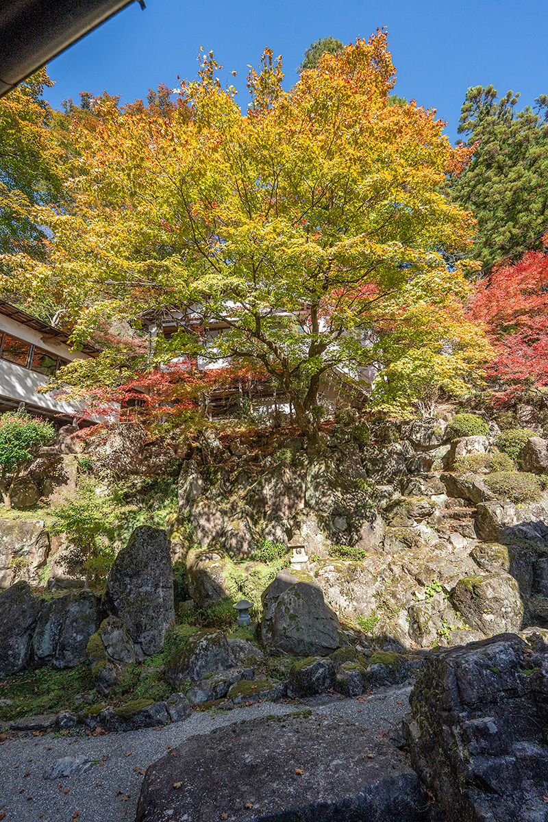 龍門瀑