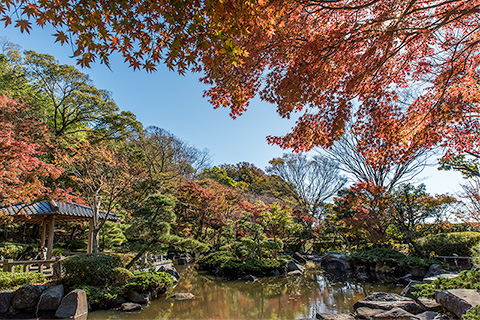 大磯城山公園