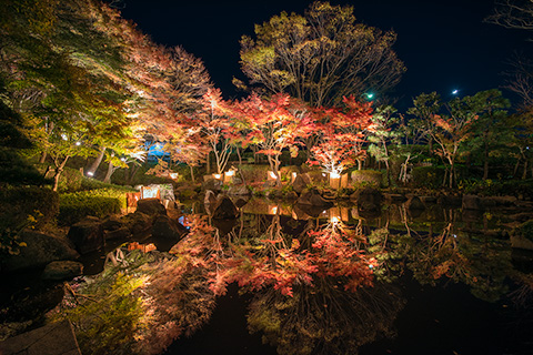 大磯城山公園のライトアップ