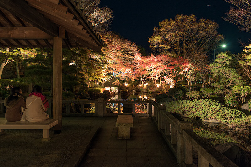 東屋と庭園を撮す