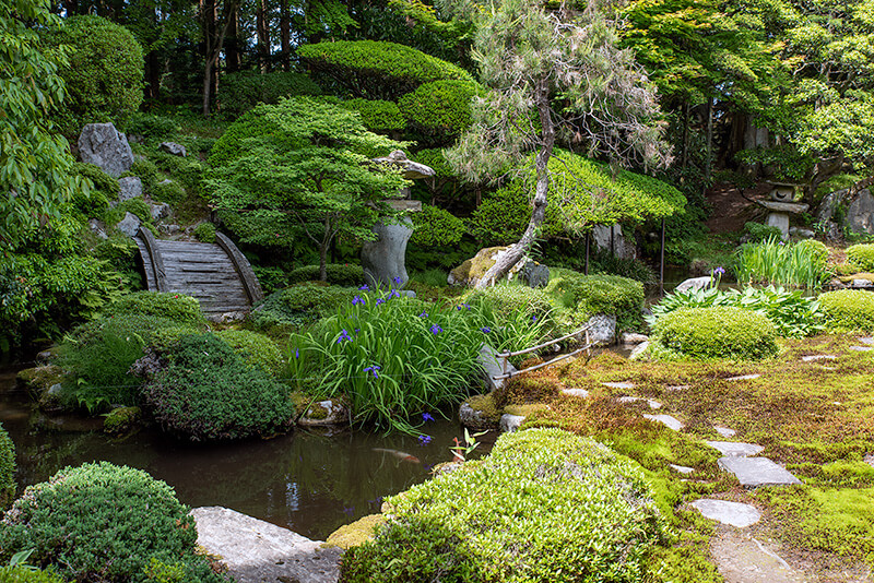 池泉回遊式庭園