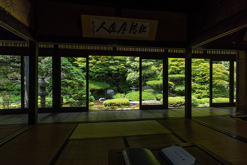 居間での額縁庭園。