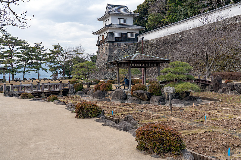 南堀の花菖蒲園
