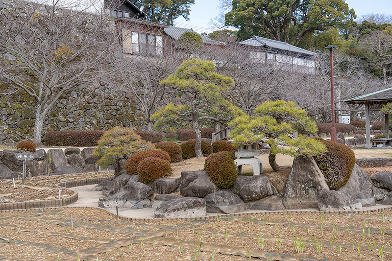 南堀の花菖蒲園