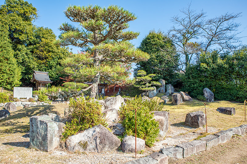 鶴亀の庭