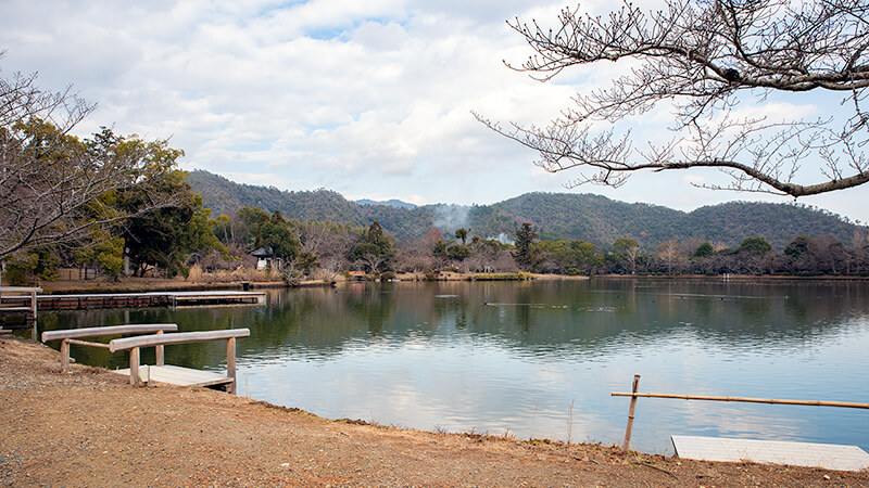 大沢池