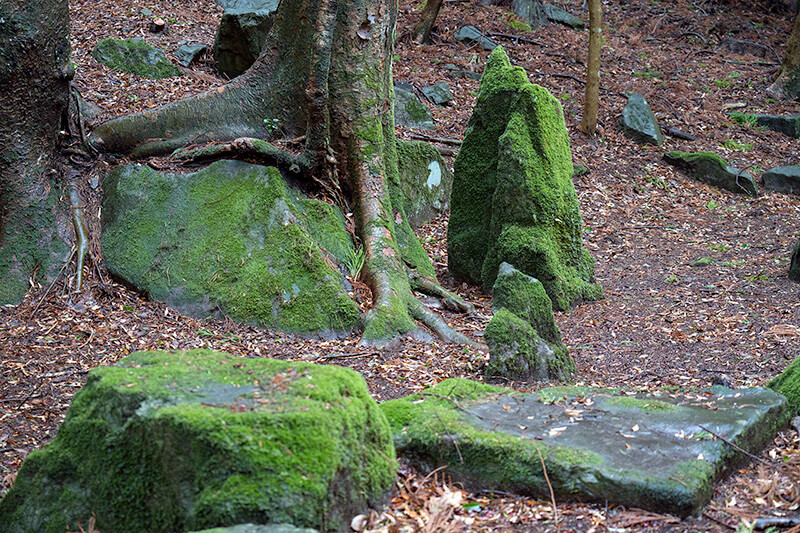 亀島