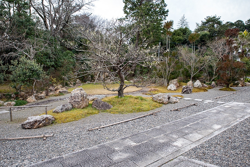 近景は水（露）、中景は光（黄昏）、遠景（青嵐）