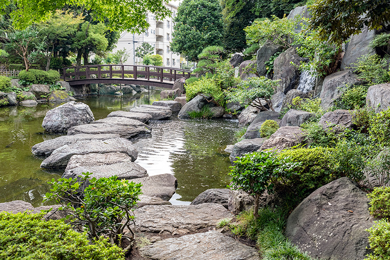 沢飛石と上の橋