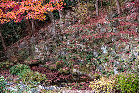 應聖寺