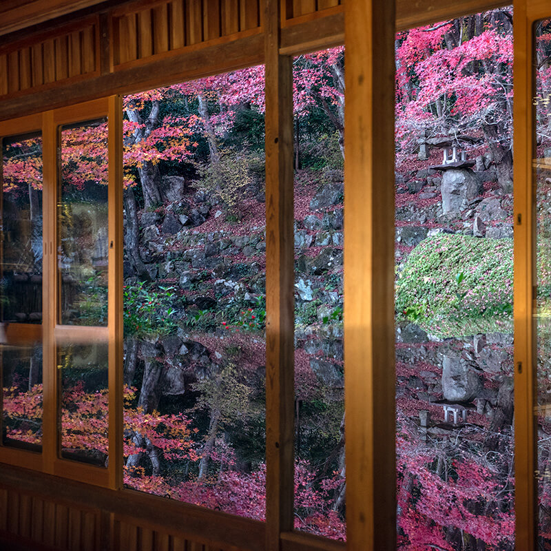 應聖寺　床もみじ