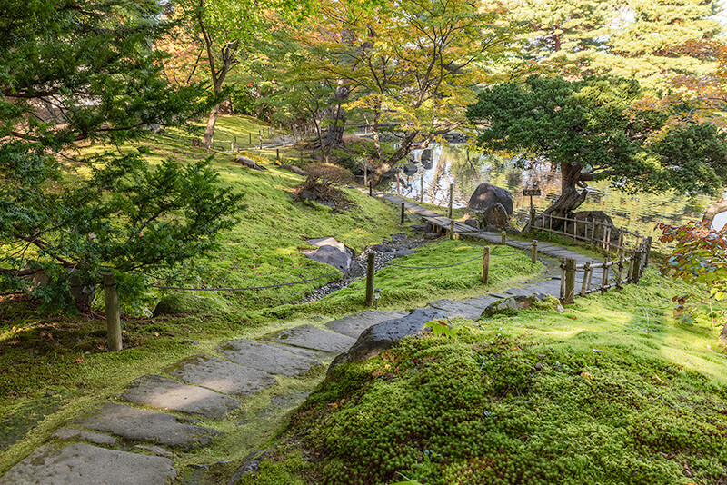 野筋の苔庭に苑路が作られている
