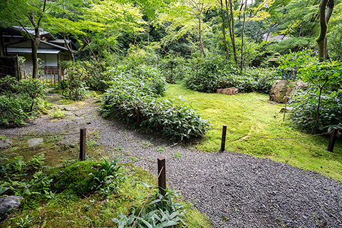 来迎院庭園「含翠庭」