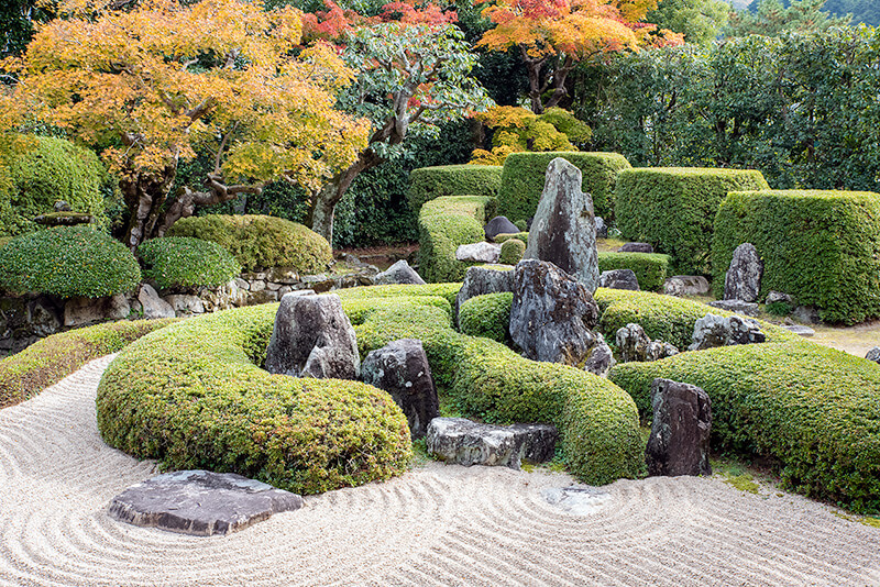 頼久寺　鶴島