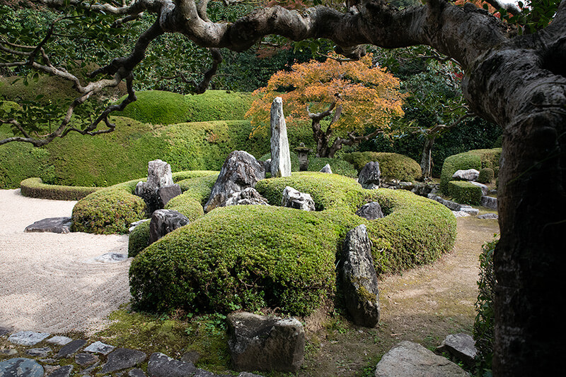 頼久寺　鶴島