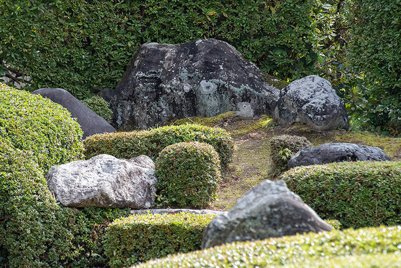 頼久寺　亀島