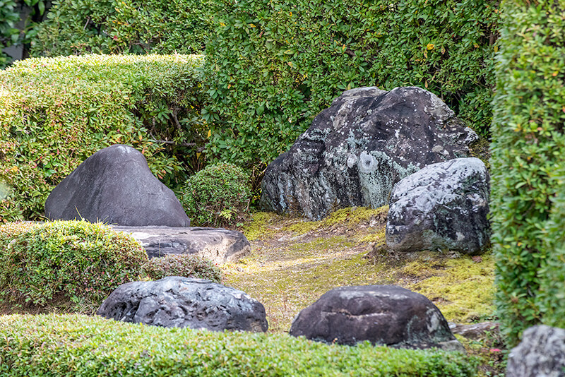頼久寺　亀島