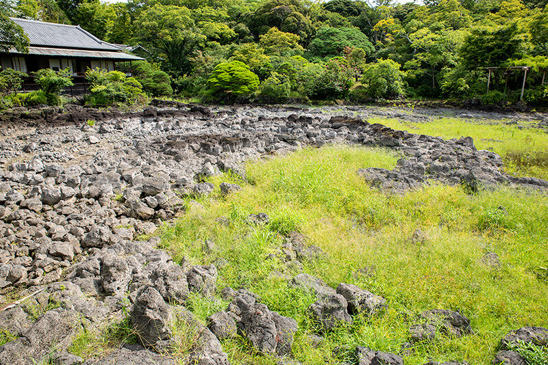 渇水時の池泉庭園