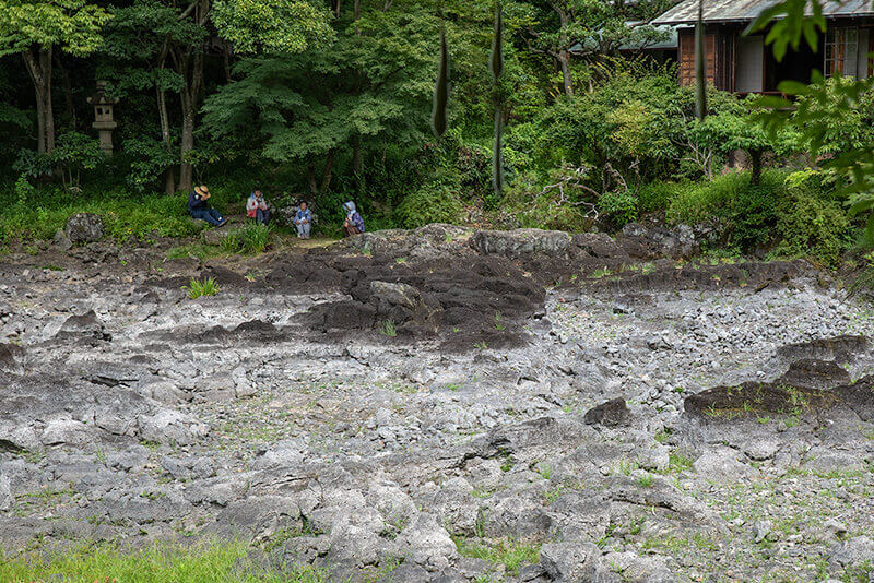 三島の湧水により美しい池泉が浮かび上がる