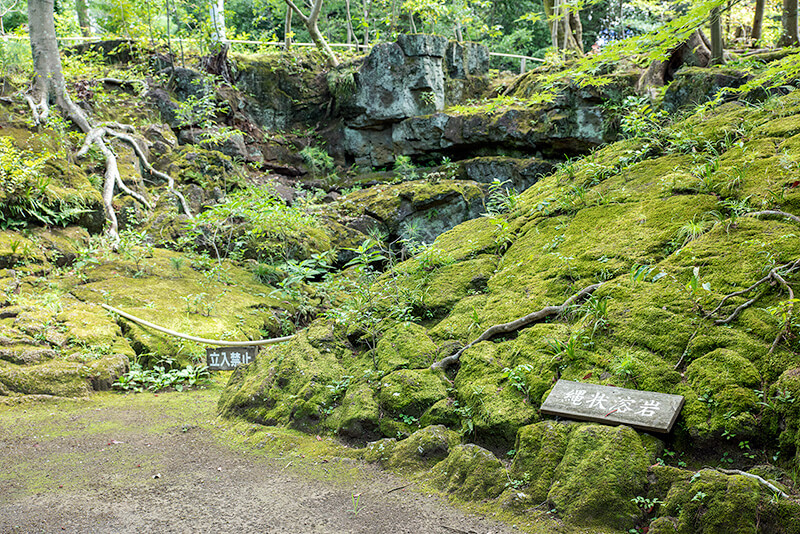 三島溶岩