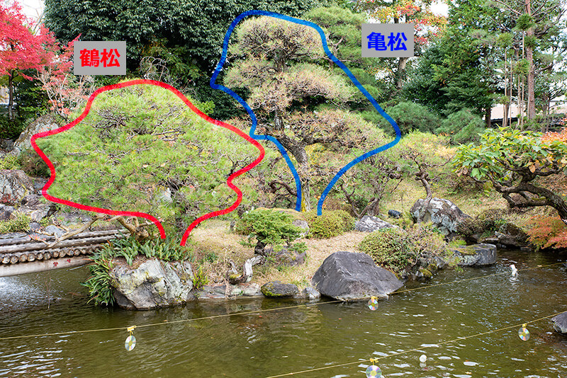 図解