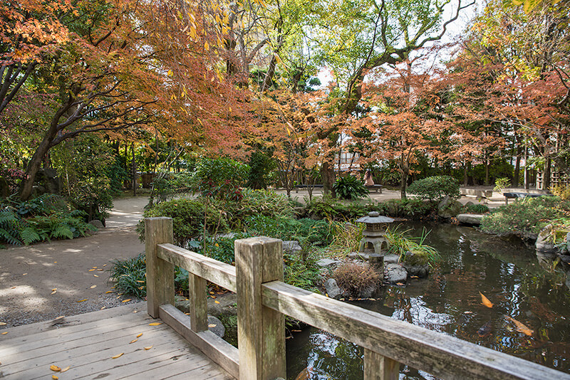 池泉回遊式庭園