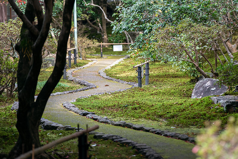 美しい苑路