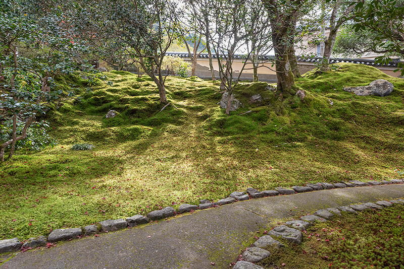 なだらかな築山に景石が配置され美しい