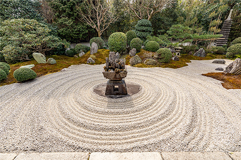 霊雲院