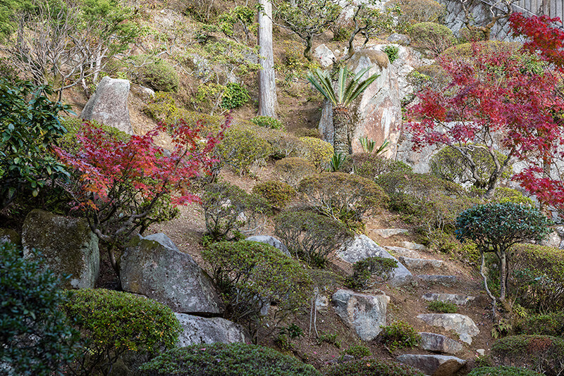 多くの石組や刈込みを植樹
