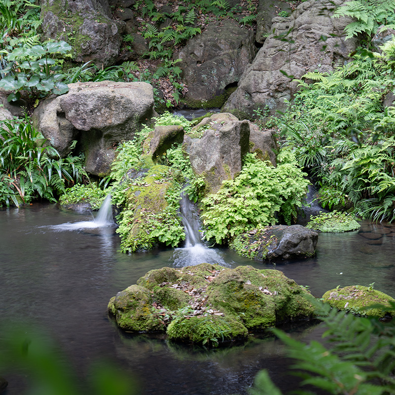 水分石
