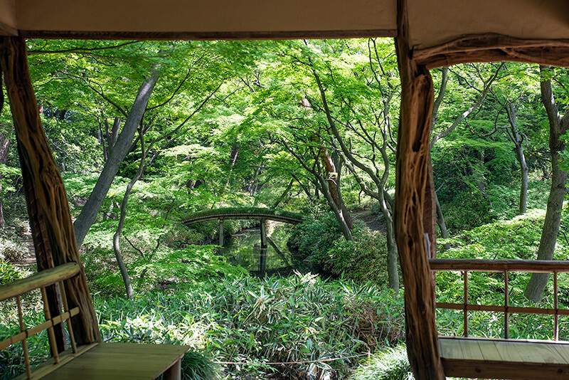 六義園の出汐湊