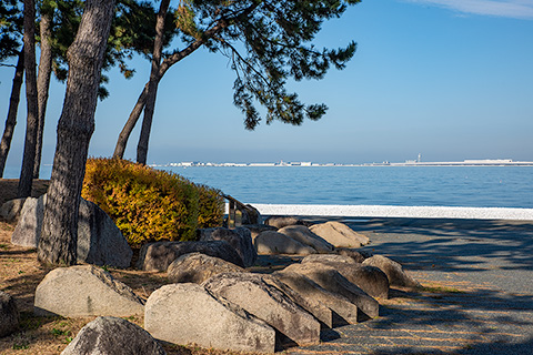 りんくう公園　五つの庭