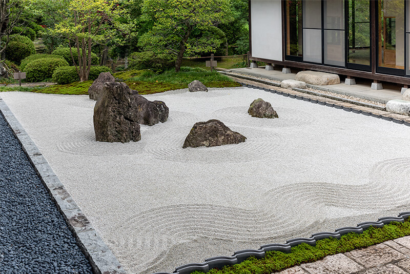 野筋は苔で覆われている