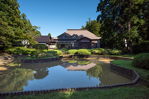 林泉寺庭園