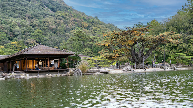 掬月亭と根上り五葉松