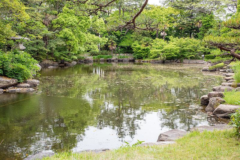 池泉庭園
