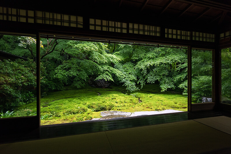 瑠璃の庭