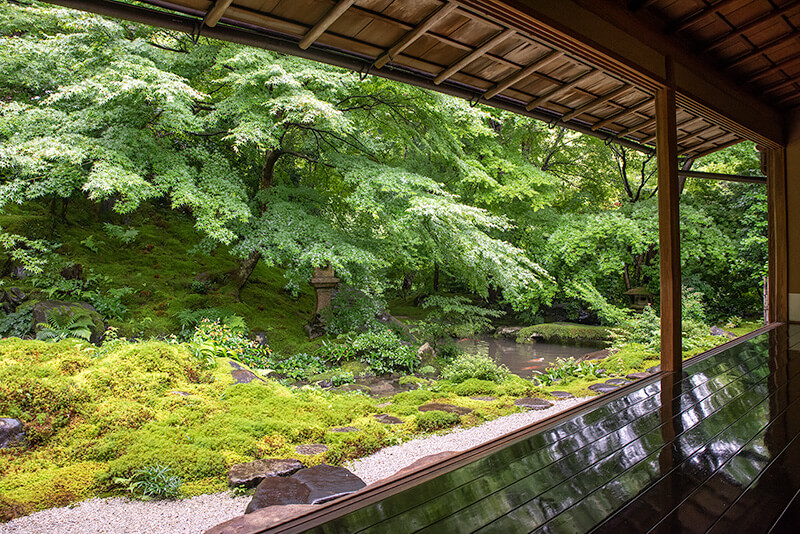 臥龍の庭　額縁庭園